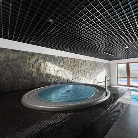 Podgrzewany Basen, Sauna, Nowy Revist Szklarska B7